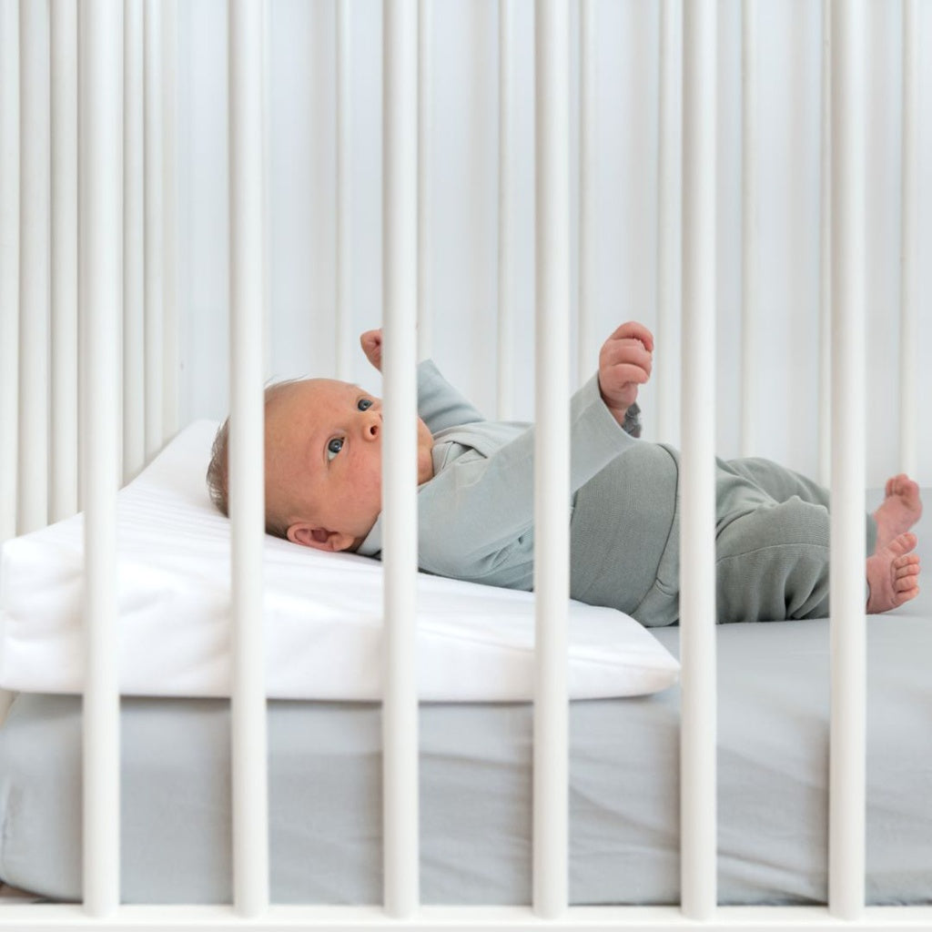 Roll About Doomoo Kilkudde Bred