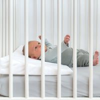 Roll About Doomoo Kilkudde Bred