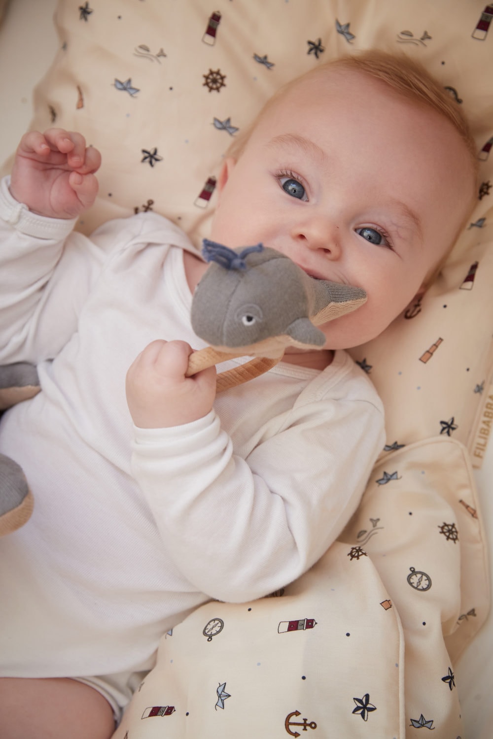 Filibabba Willie the whale rattle