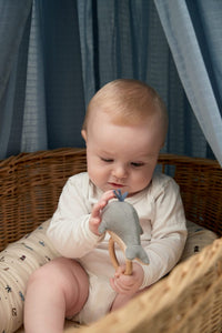 Filibabba Willie the whale rattle