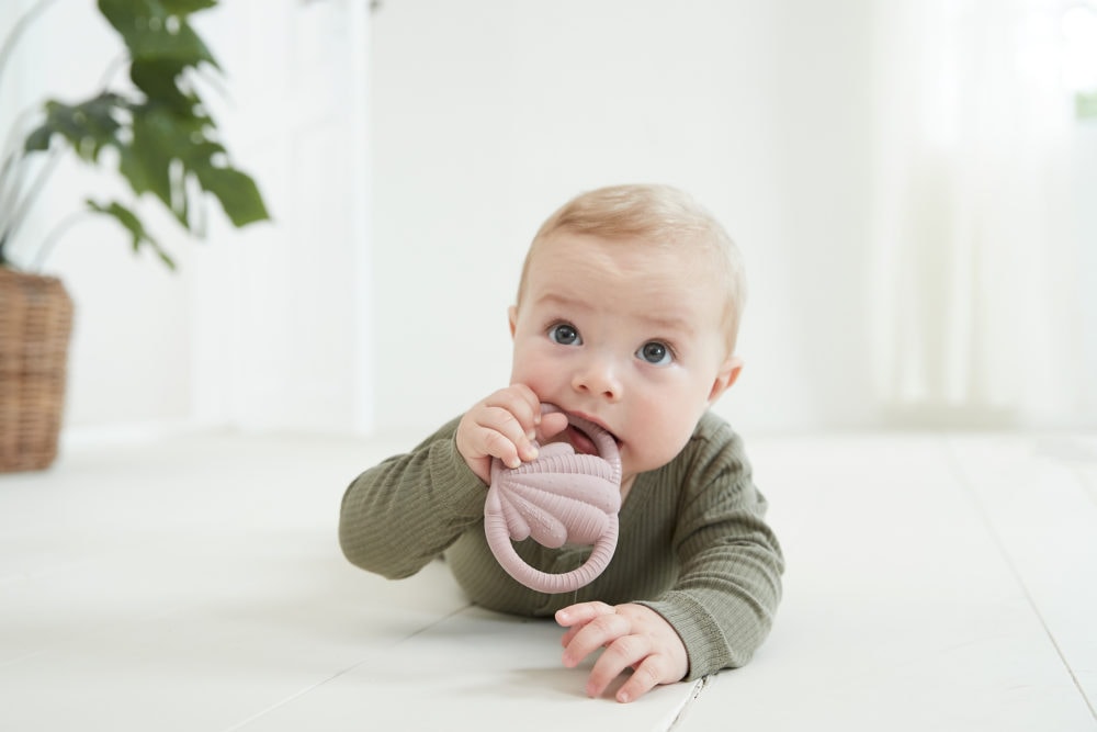 Filibabba Teether Seashell Blush