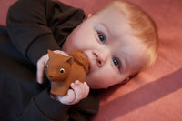 Filibabba Sonja ekorre bitring