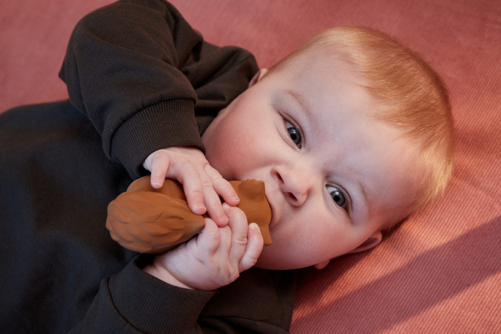 Filibabba Sonja ekorre bitring