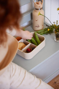 Filibabba Silicone Lunch Box