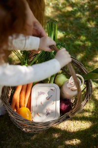 Filibabba Silicone Lunch Box