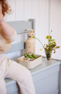 Filibabba Rostfri Vattenflaska 350 ml