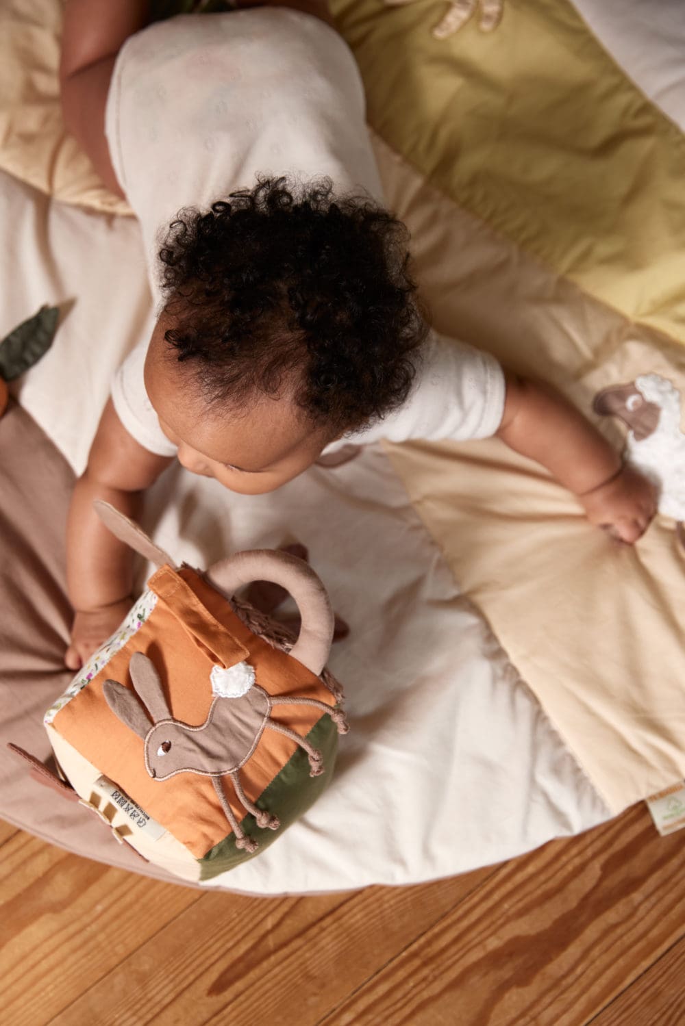 Filibabba Activity Cube - Carrot Thief