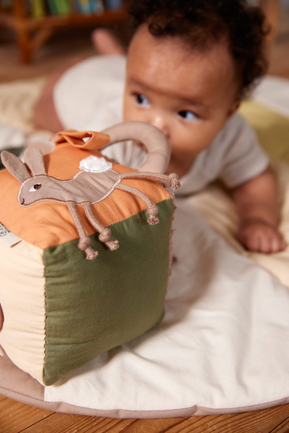 Filibabba Activity Cube - Carrot Thief