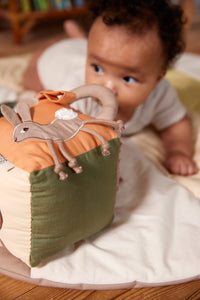 Filibabba Activity Cube - Carrot Thief