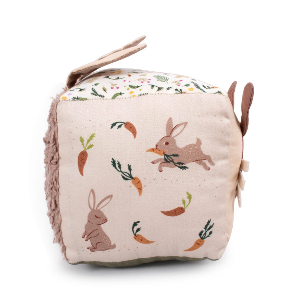 Filibabba Activity Cube - Carrot Thief