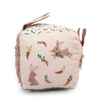 Filibabba Activity Cube - Carrot Thief