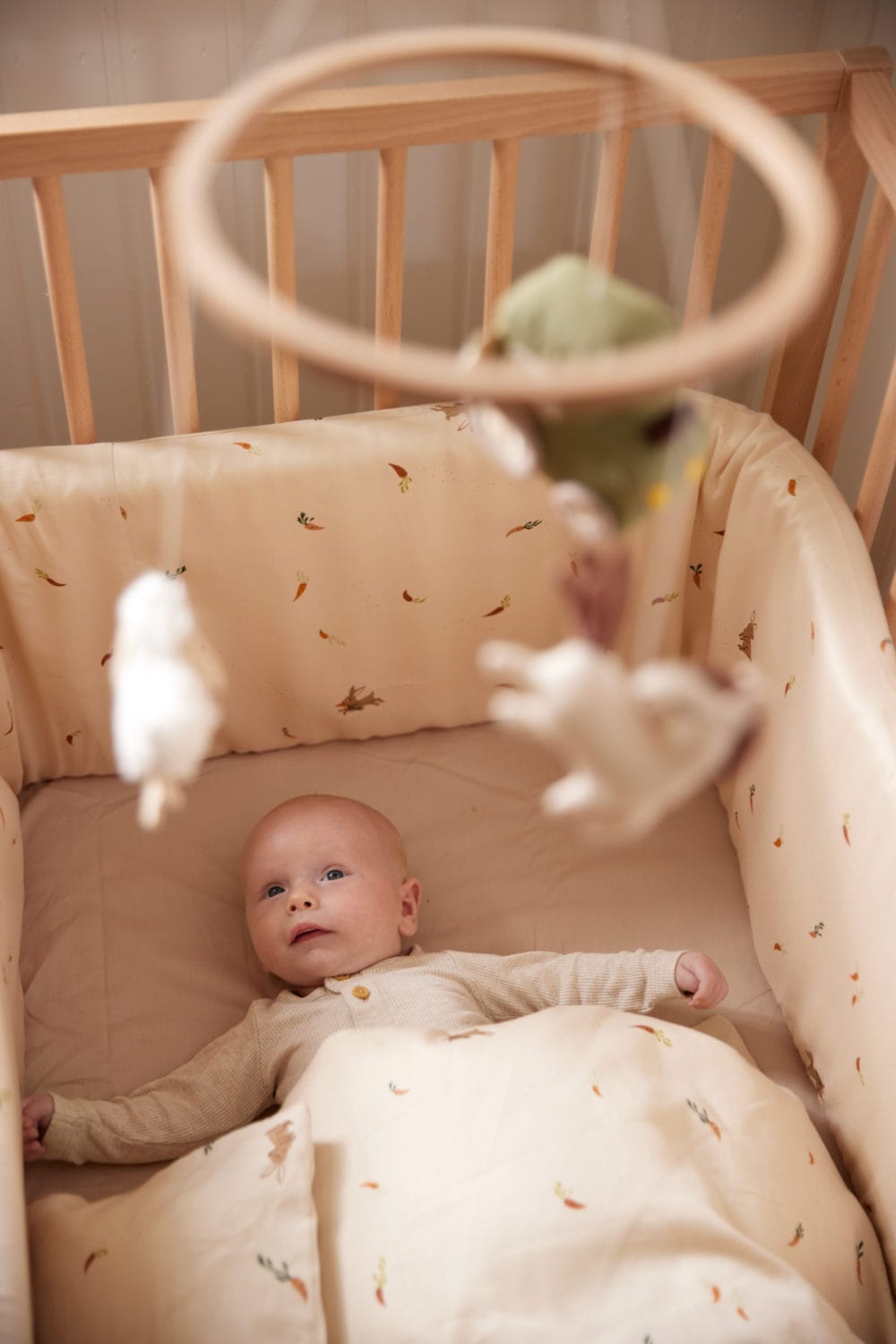 Filibabba Sängstötfångare Carrot Thief