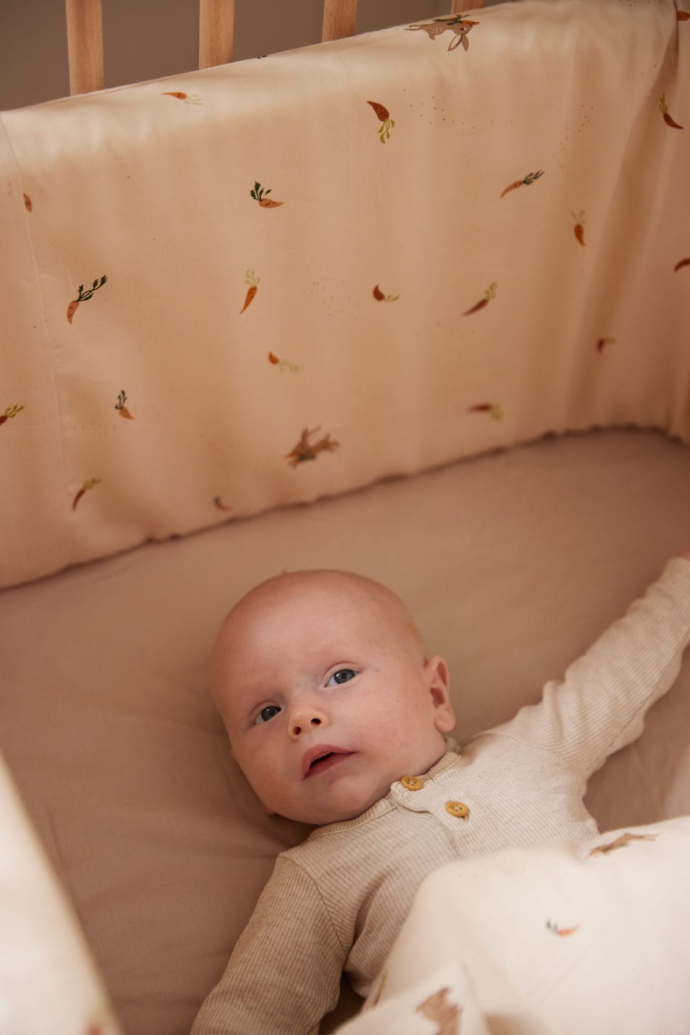 Filibabba Sängstötfångare Carrot Thief