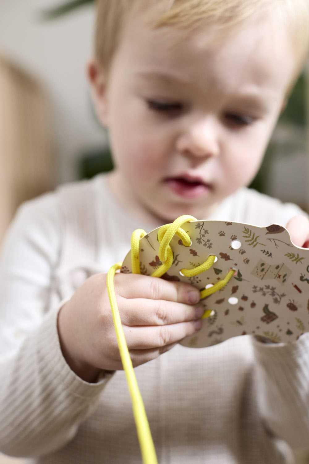 Filibabba Syset - Skogsvänner