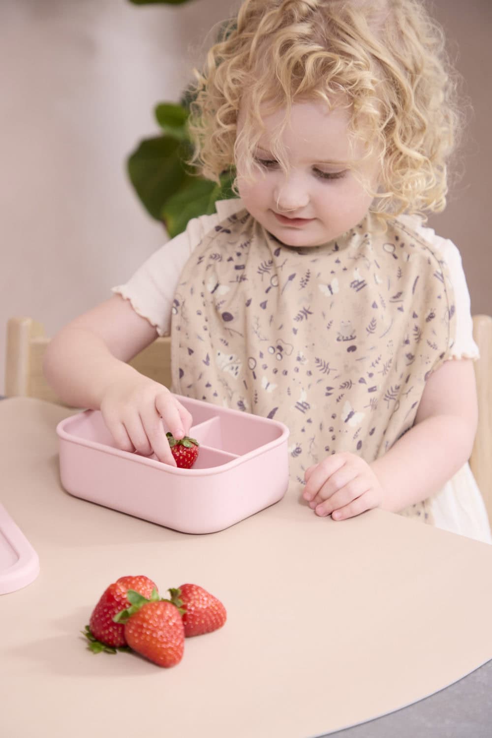 Filibabba Silicone lunch box - Lucky
