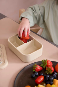 Filibabba Silicone lunch box