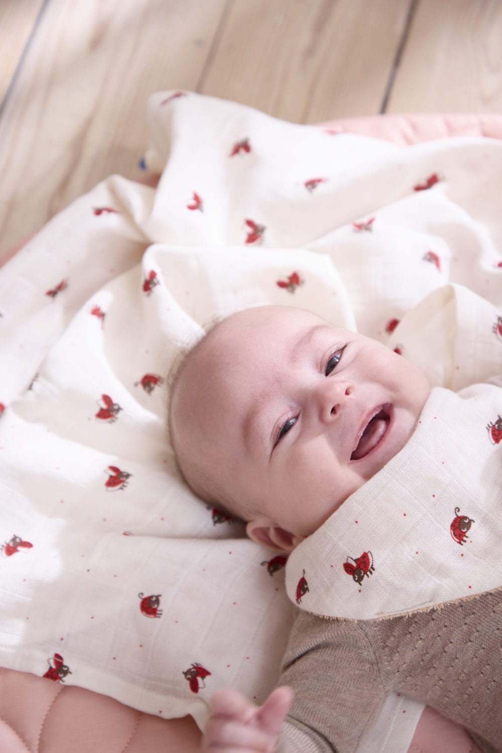 Filibabba Bandana Bib 2-pack