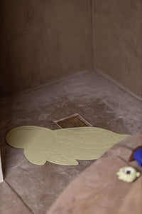 Filibabba badmatta - Turtle