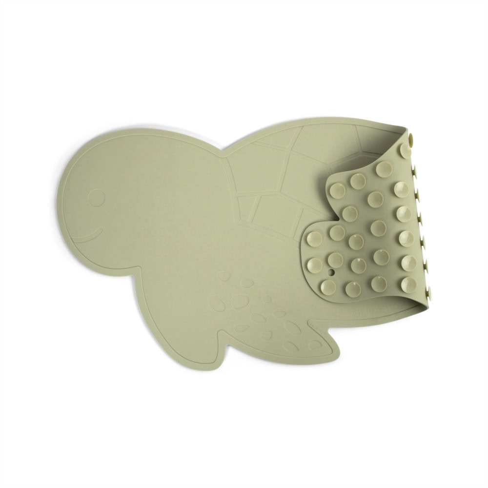 Filibabba badmatta - Turtle