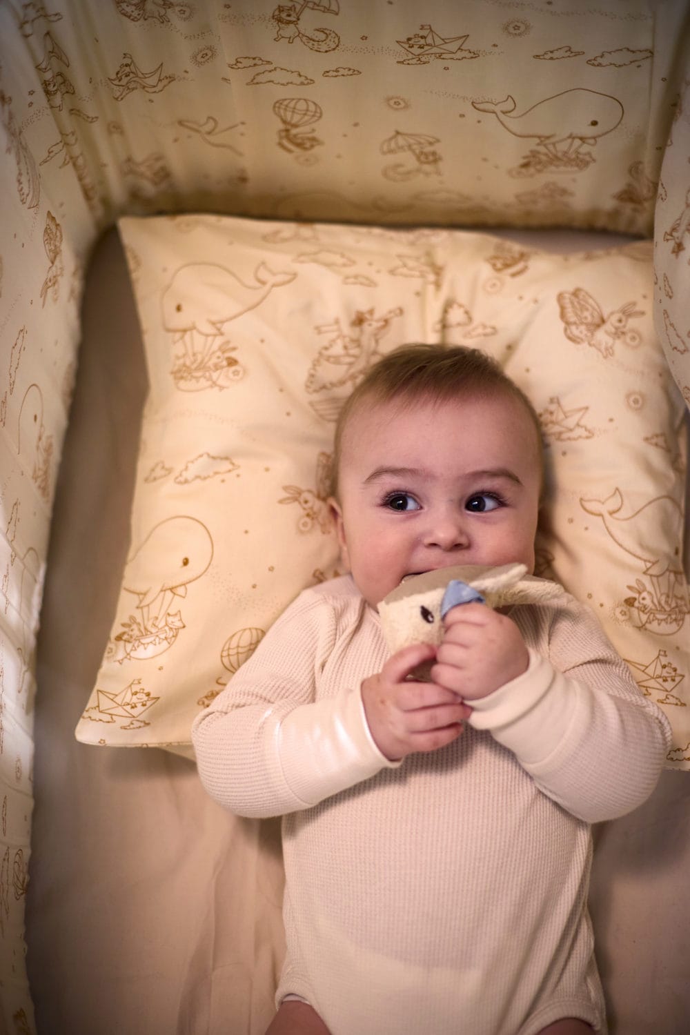 Filibabba Sensory Toys 3-pack