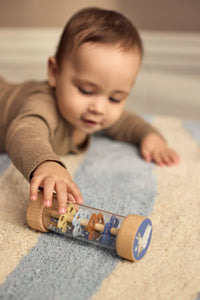 Filibabba träleksaker för sensorisk utveckling