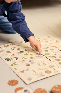 Filibabba Find It First spel