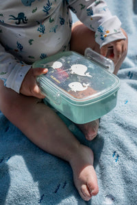 Filibabba Lunchlådor 2-pack Christian Whale