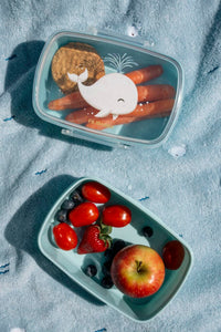 Filibabba Lunchlådor 2-pack Christian Whale