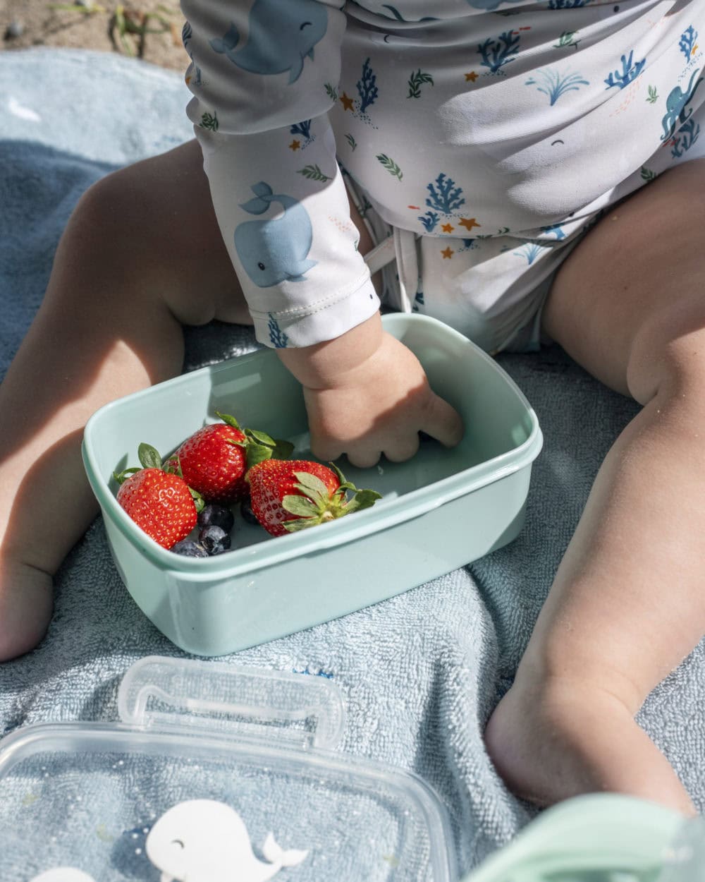 Filibabba Lunchlådor 2-pack Christian Whale