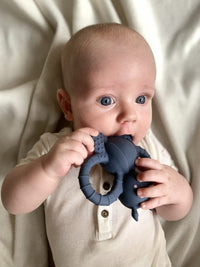 Filibabba Felix the fly teether