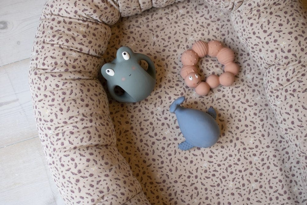 Filibabba Frey the frog