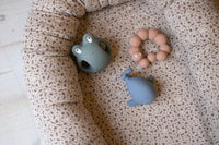 Filibabba Frey the frog