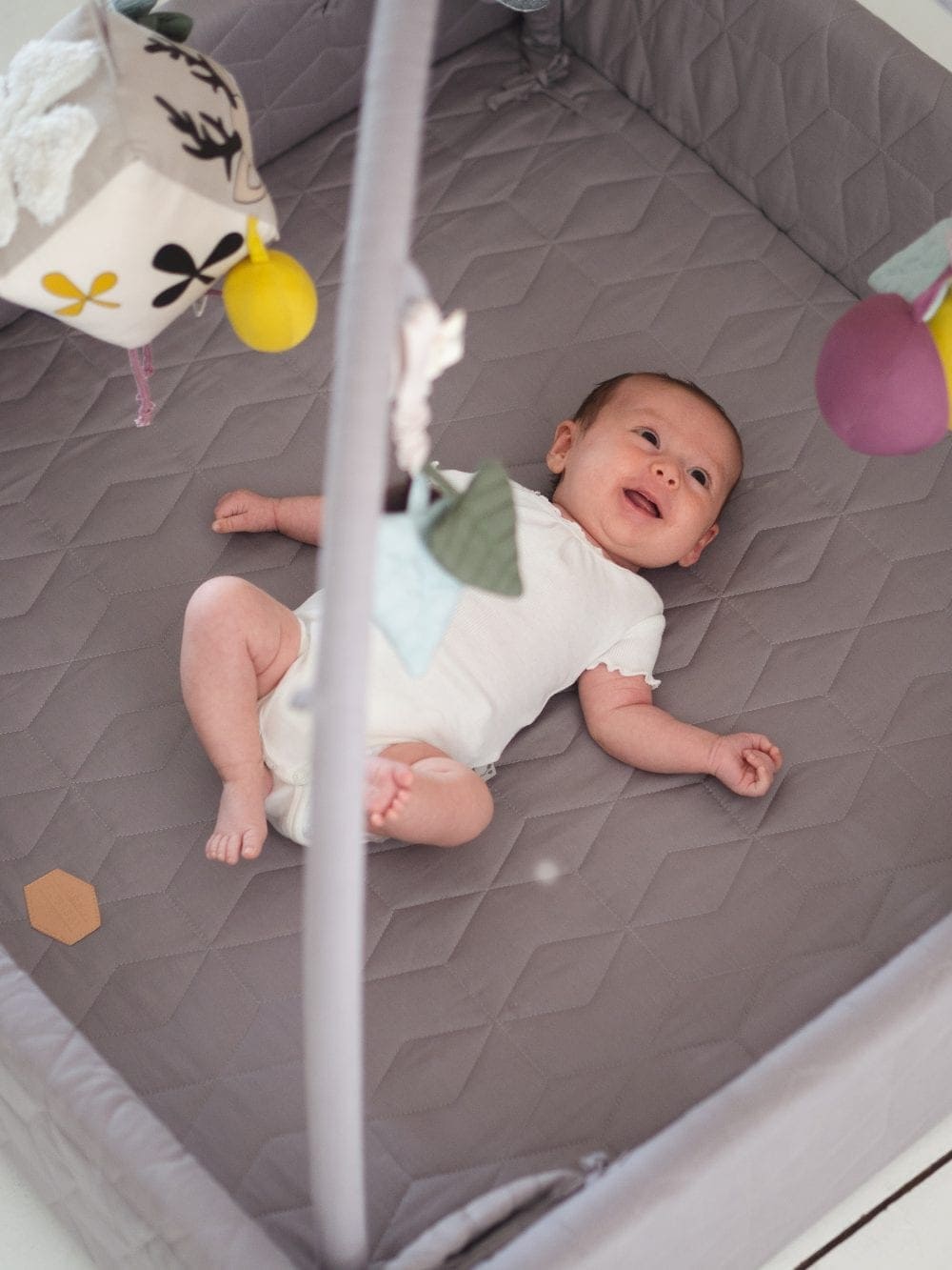 Babygym - Filibabba Aktivitetsnest Mörkgrå