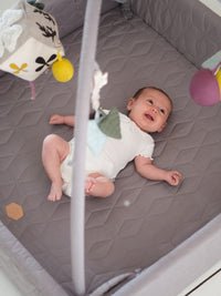 Babygym - Filibabba Aktivitetsnest Mörkgrå