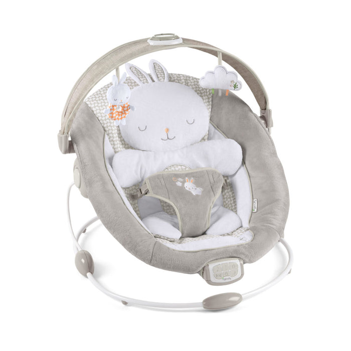 Ingenuity InLighten Bouncer