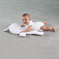 Ingenuity InLighten Bouncer