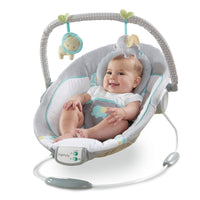 Ingenuity Morrison Soothing Bouncer