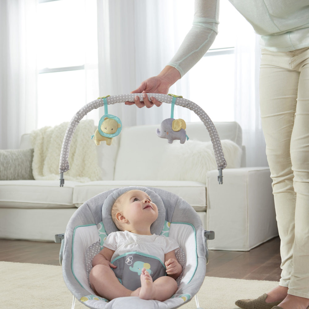 Ingenuity Morrison Soothing Bouncer
