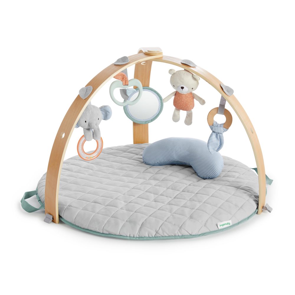 Babygym - Ingenuity Cozy Spot Duvet Gym