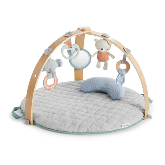 Babygym - Ingenuity Cozy Spot Duvet Gym
