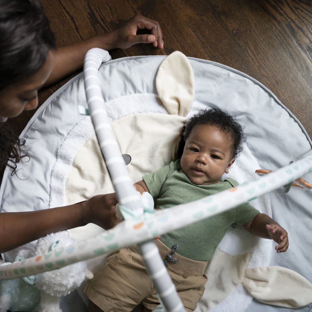 Babygym - Ingenuity Sheppy’s Spot™ Aktivitetsgym