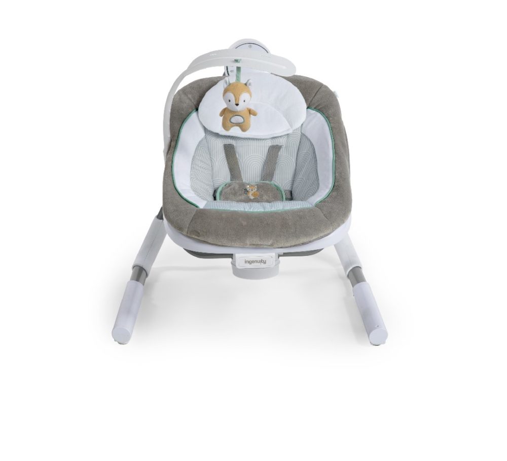 Ingenuity AnyWay Sway™ Portable Swing