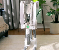 Ingenuity AnyWay Sway™ Portable Swing