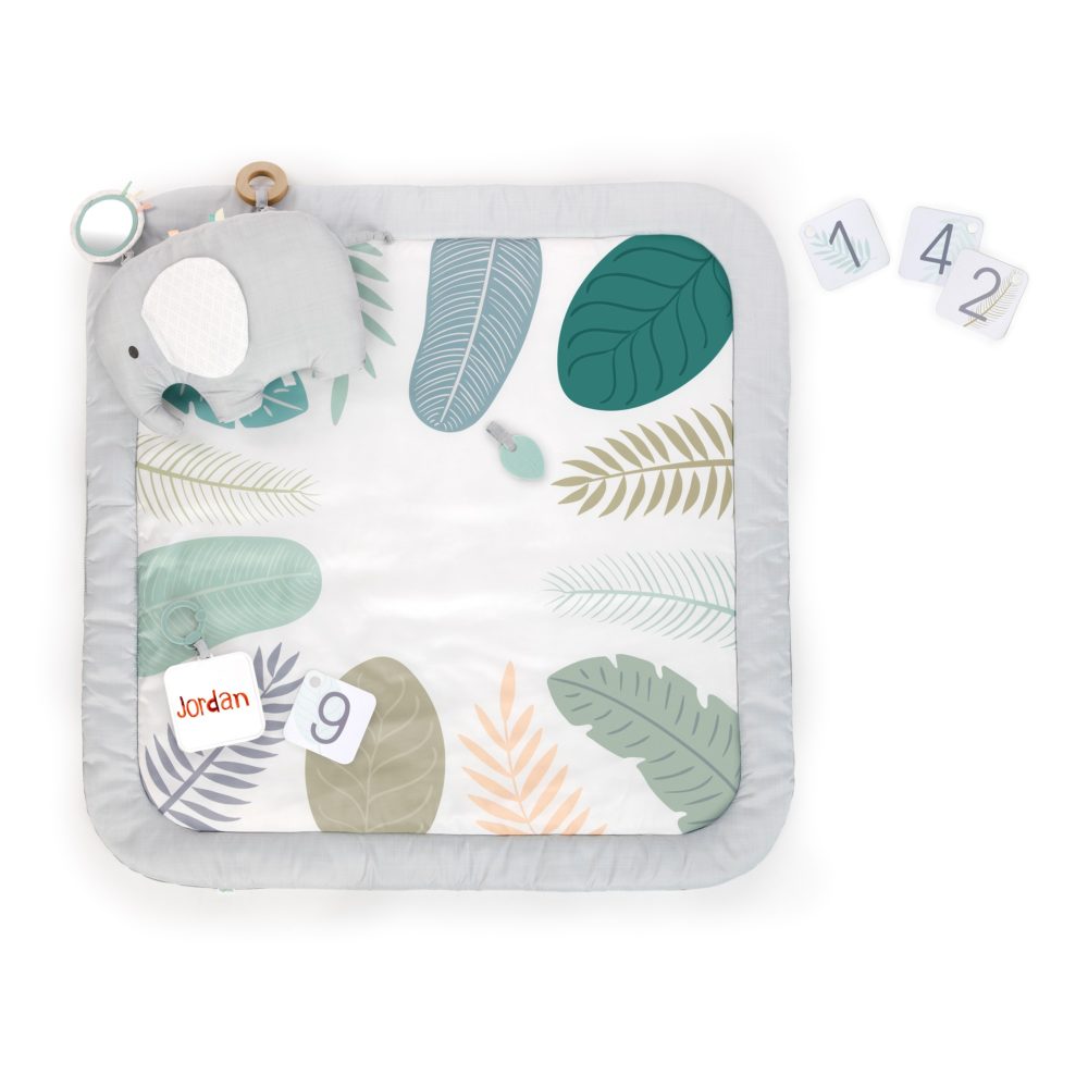 Ingenuity Baby Milestone Play Mat