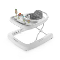 Ingenuity Step & Sprout 3-i-1 Walker
