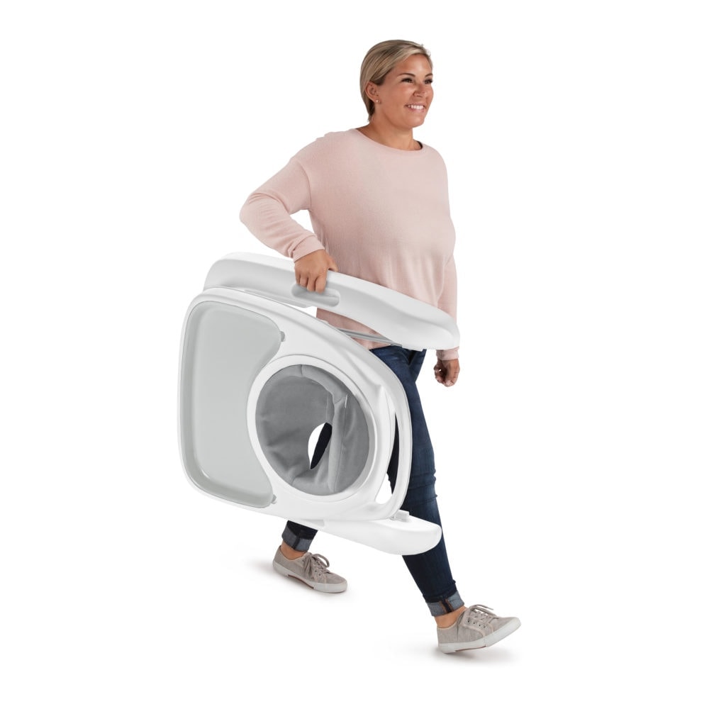 Ingenuity Step & Sprout 3-i-1 Walker