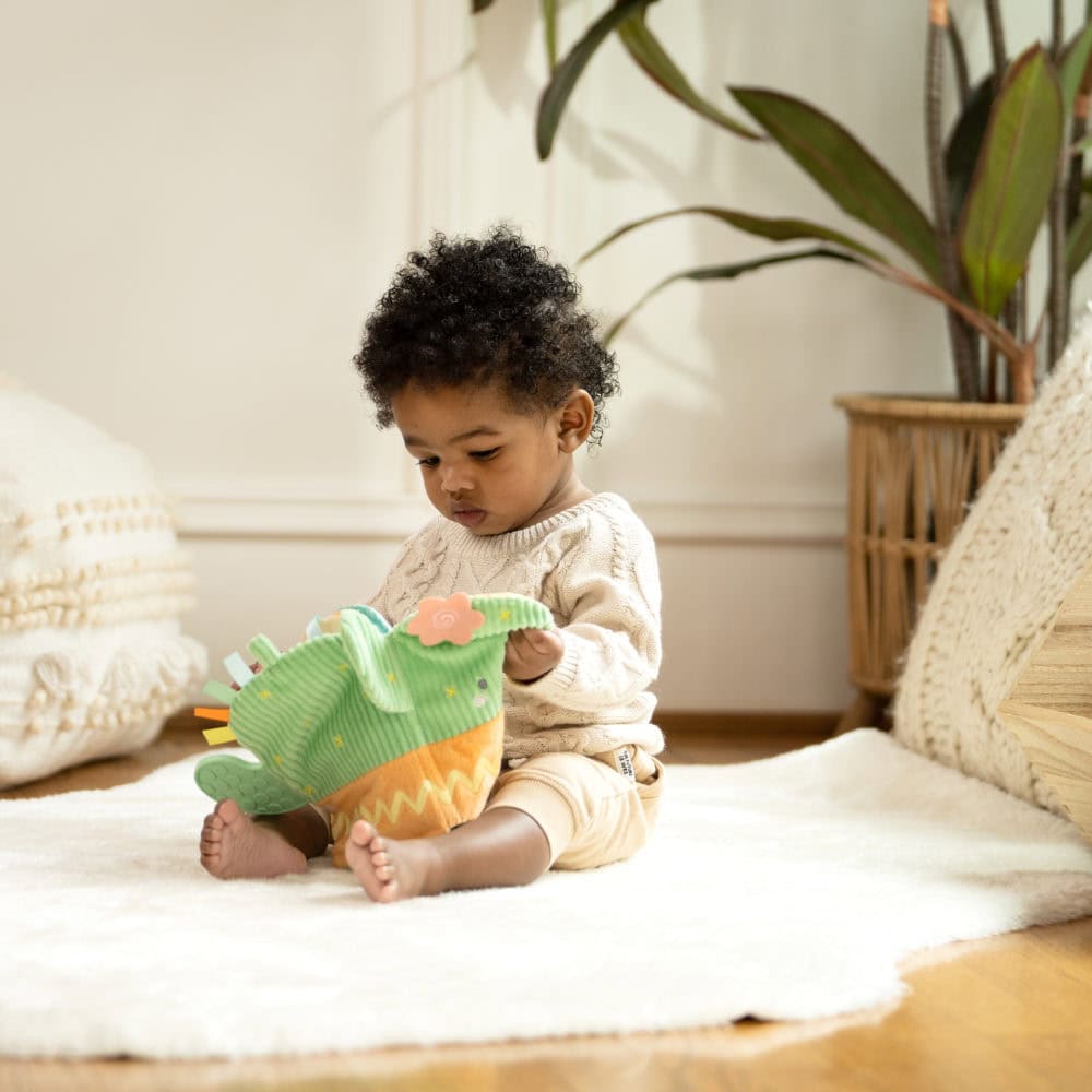 Ingenuity Calm Springs Teething Book