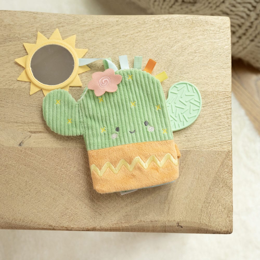 Ingenuity Calm Springs Teething Book