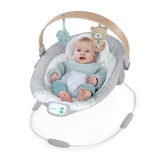 Ingenuity Cozy Spot Bouncer