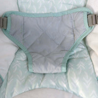 Ingenuity Cozy Spot Bouncer